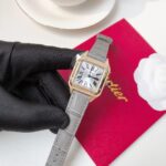 Santos Demoisell – Stainless Steel Mini – Grey Gold(1:1 replica)