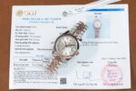 Rolex Copies Watch DateJust 126331 Dial Sundust Custom Gold Wrapped GM Factory 41mm