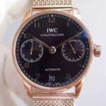 Replica IWC YL Portuguese RG IW5001 Black Dial
