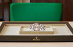 Datejust 41 ?C M126331-0007(1:1 replica) - Image 4