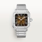 Fake Cartier Watch Santos de Cartier Large Steel Brown Dial WSSA0064-TW(1:1 replica)