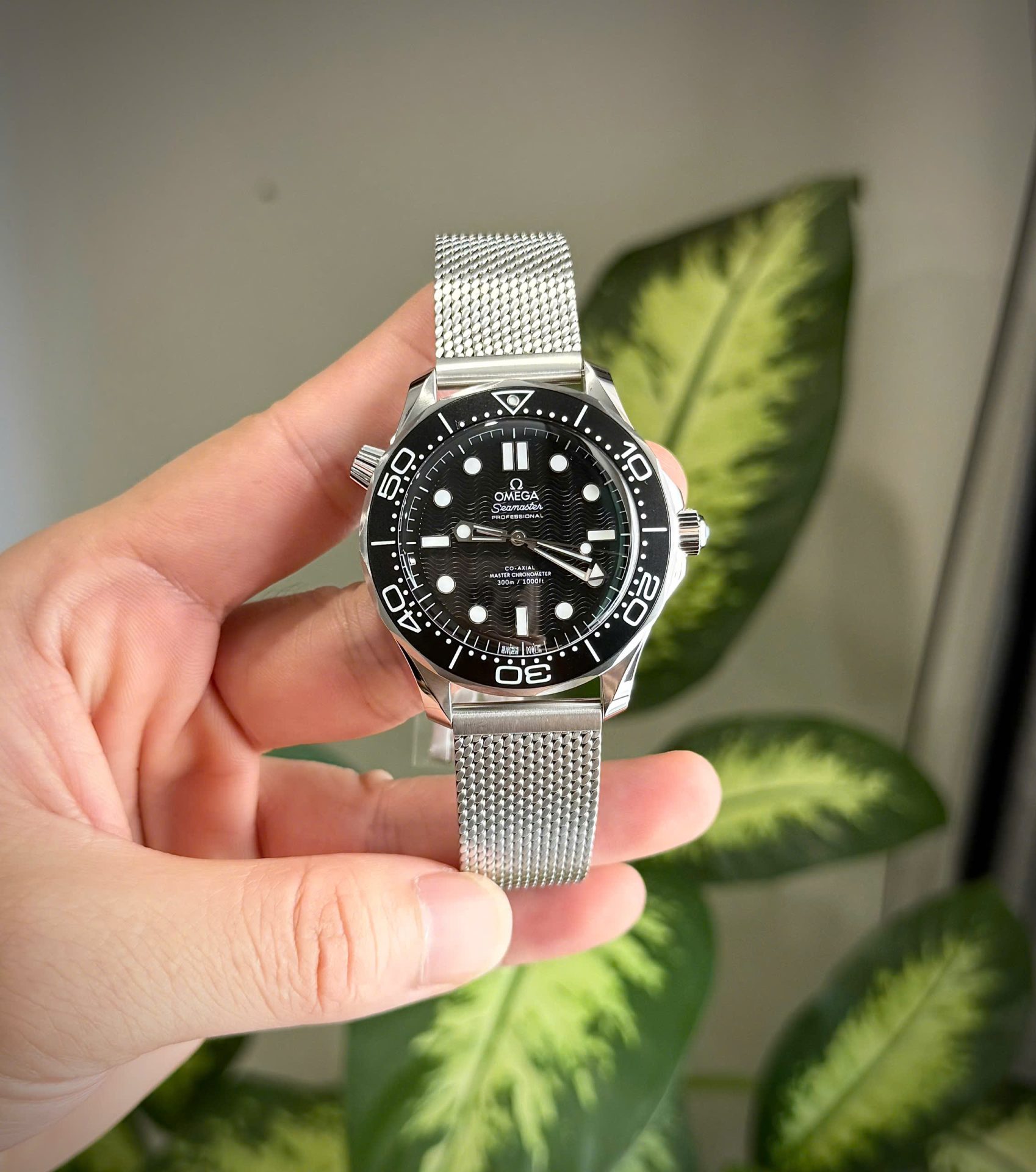 57763457-0ADA-A2BD-E390-E04E2E86C39D.jpg Omega Seamaster Diver 300M Replica 1:1 Watch VFS Factory 42mm - Image 1