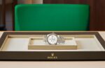 Sky-Dweller ?C M326933-0010(1:1 replica) - Image 4