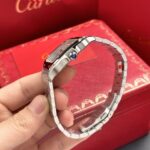 Cartier Replica 1:1 Watch Santos de Cartier WSSA0018 BV Factory 39.8mm - Image 6