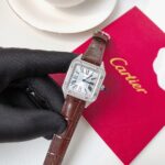 Santos Demoisell Santos Platinum Diamonds – Stainless Steel Mini(1:1 replica) - Image 3