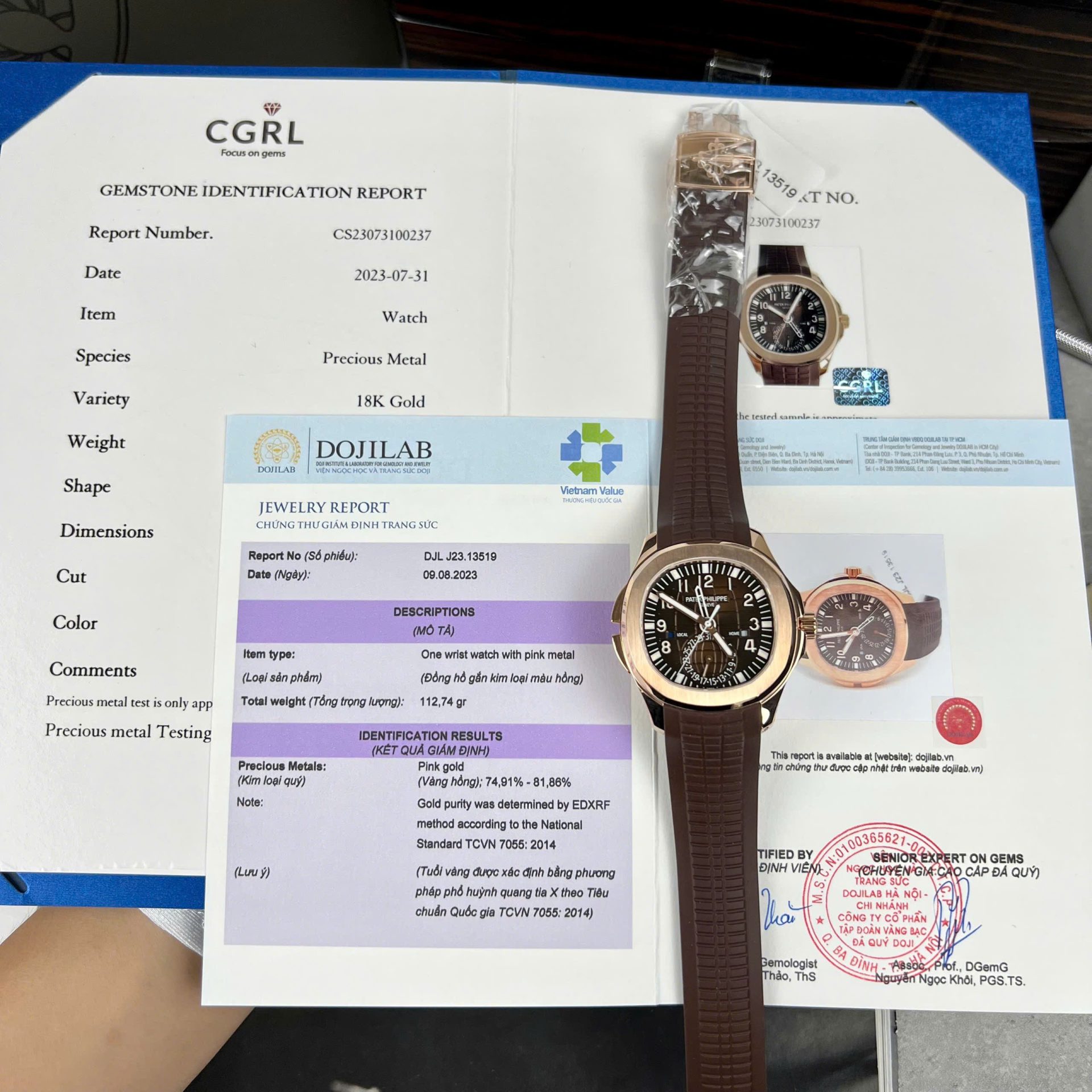 C59DBCBC-0ABC-8F4C-FBB8-14629B934667.jpg Patek Philippe Aquanaut 5164 Brown Dial Custom 18K Gold Wrapped 40.8mm - Image 1