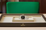 Datejust 41 ?C M126333-0005(1:1 replica) - Image 4