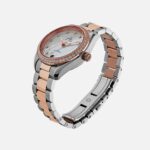 Seamaster Aqua Terra 150M Co-Axial Master Chronometer 34mm Two-Tone With Diamonds(1:1 replica) - Image 4